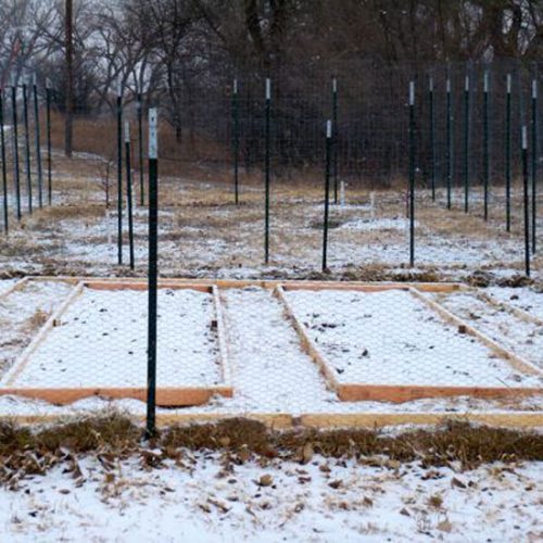 Eight Beds and Counting
